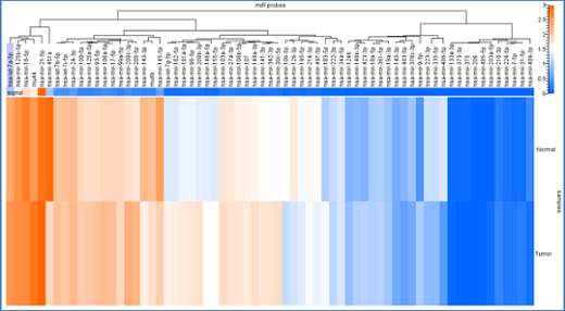 Панель для профилирования ми-РНК, Multiplex miRNA Assay Oncology Panel - Circulating Фото 3
