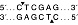  Эндонуклеаза рестрикции XhoI, 20 000 ед/мл, New England Biolabs