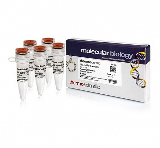 Буфер O (Orange), 10x