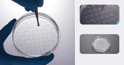 Чашки Петри с покровными пластинами CellSLIP 60 мм, диаметр пластины 8 мм, количество пластин 18 шт, ТС-обработаны, стерильные