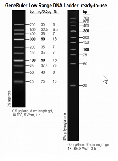 Маркер длин ДНК GeneRuler Low Range, 10 фрагментов от 25 до 700 п.н., готовый к применению, 0,1 мкг/мкл