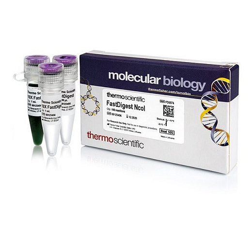 Эндонуклеаза рестрикции NcoI Fast Digest