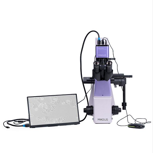 Микроскоп биологический инвертированный цифровой, с монитором камерой, Magus Bio VD300 LCD