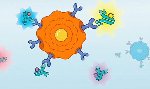 Антитела anti-Pig CD19, кроличьи,  моноклональные, конъюгированы ABflo 647, ABclonal, Китай