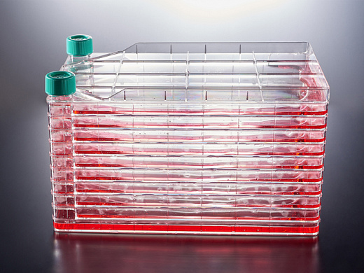 Флакон культуральный, 2 слоя, 1296 см², раб. объём 260-400 мл, вентиляц. крышка