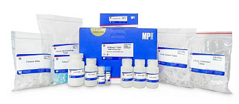 Набор для одновременного выделения ДНК и РНК микробиома из сложных типов почв SPINeasy DNA/RNA Kit for Soil, MP Biomedicals