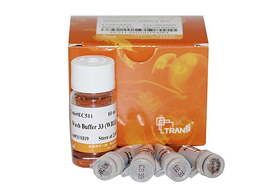 Магнитные частицы для poly(A) обогащения mRNA, MagicPure mRNA Kit, 6 реакций, TransGen Biotech