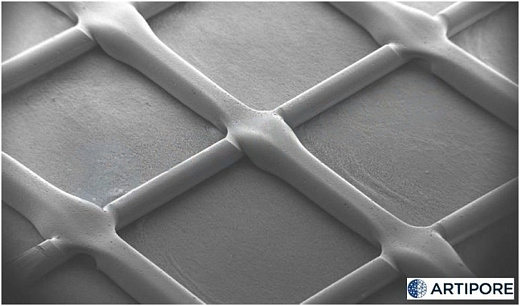 Диски для 3D культивирования полученные методом электроформования, невыровненные нановолокна, материал нанесен радиально, толщина подложки 30 мкм, 24 луночный планшет