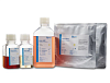Бессывороточные среды для HEK293, Bioengine, Китай