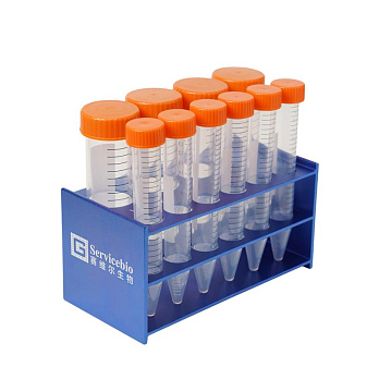 Штатив для пробирок 15, 50 мл, 10 мест, алюминиевый сплав, Servicebio (синий) 