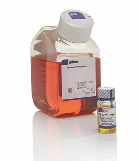 Набор B-27 Plus (среда и добавка) для культивирования нейрональных культур