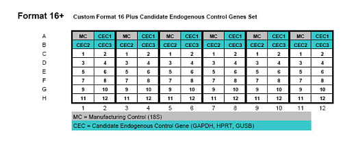 Планшеты TaqMan Array, Standard, 96-луночные, формат 16 Plus×6