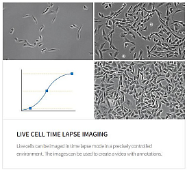 Система многопараметрического анализа клеток Celena X, до 4 каналов детекции, Logos Biosystems (таймлапс)