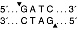  Эндонуклеаза рестрикции Sau3AI, 5 000 ед/мл, New England Biolabs
