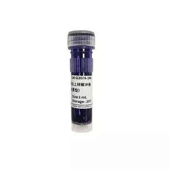 Буфер 2×SDS-PAGE loading buffer (inodorous, reduced form),