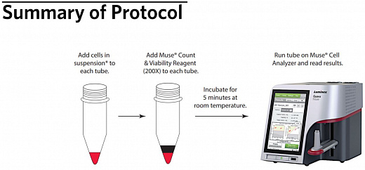 Набор для определения концентрации и жизнеспособности клеток Muse Count & Viability Kit 200x, 100 тестов Фото 3