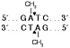 Эндонуклеаза рестрикции DpnI, 20 000 ед/мл, New England Biolabs