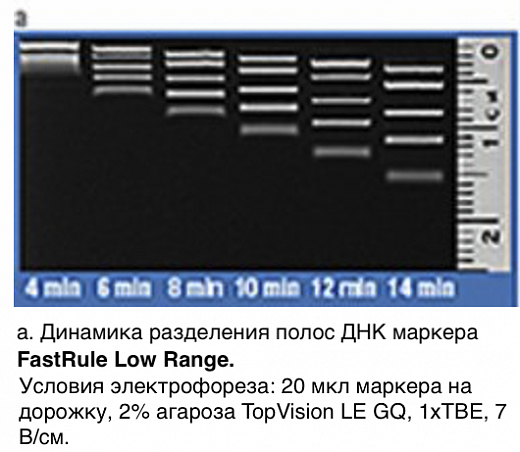 Маркер длин ДНК, FastRuler Low Range, 5 фрагментов от 50 до 1500 п.н., готовый к применению Фото 2