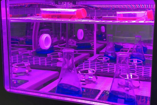 Подсветка для фотосинтеза (опция)