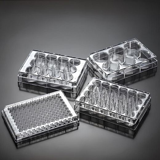 Планшеты культуральные 1-384-лун., поверхность ТС, плоскодонные, прозрачные, стерильные, Jet Biofil, Китай