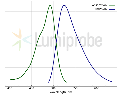 Спектры поглощения и эмиссии Красителя Ribo488 для определения концентрации РНК