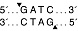 Эндонуклеаза рестрикции DpnII, 10 000 ед/мл, New England Biolabs