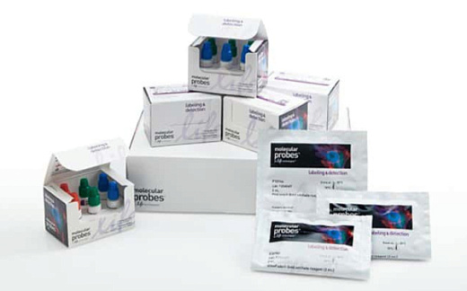 Набор для флуоресцентной окраски клеточных препаратов Cell Imaging Kit, Molecular Probes, Thermo FS